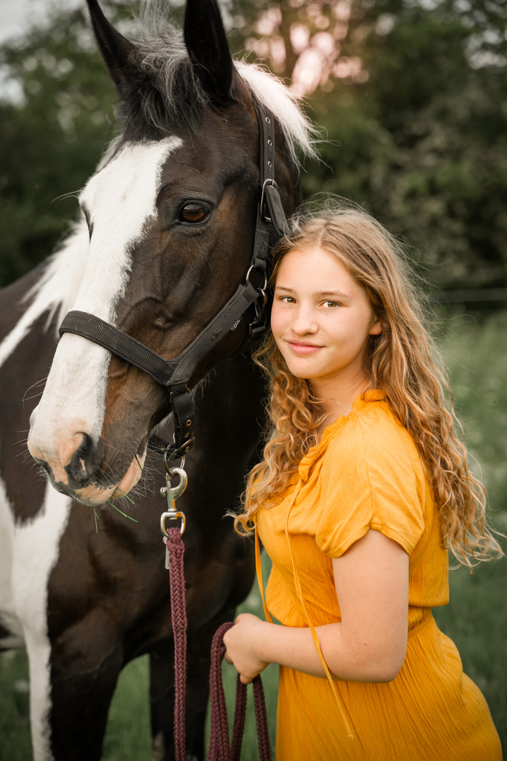 Galerie dsc00554