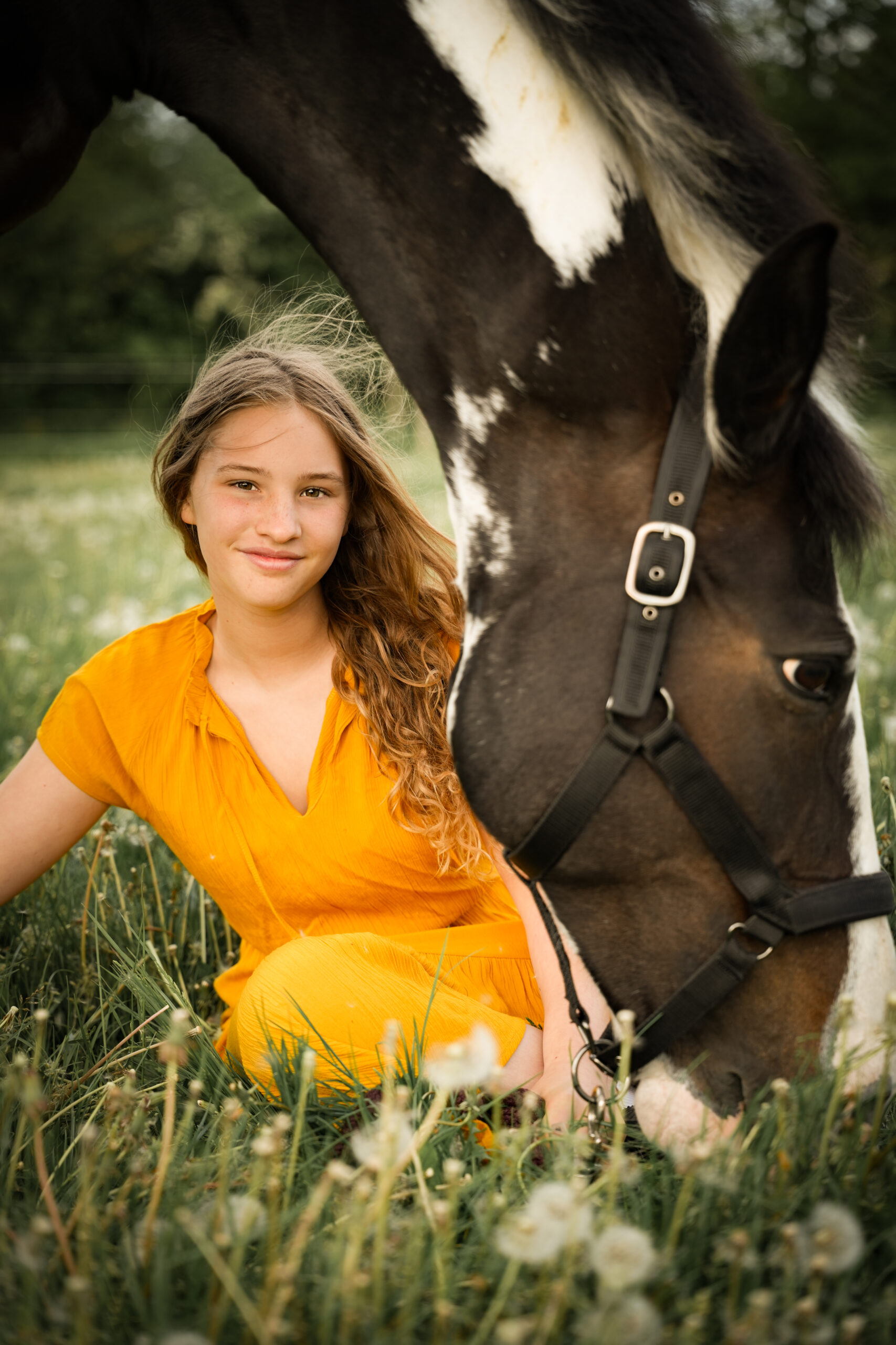 Galerie dsc00628